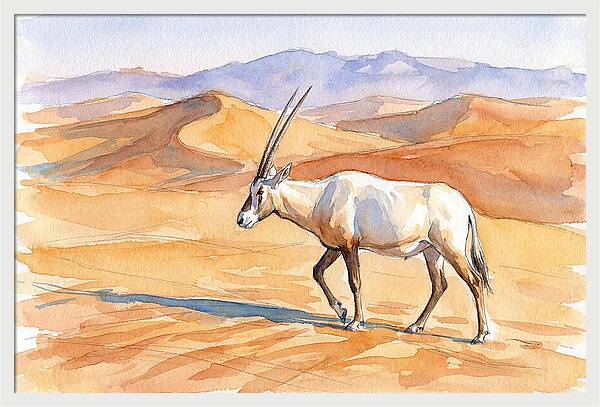 Arabian Oryx In Desert Landscape