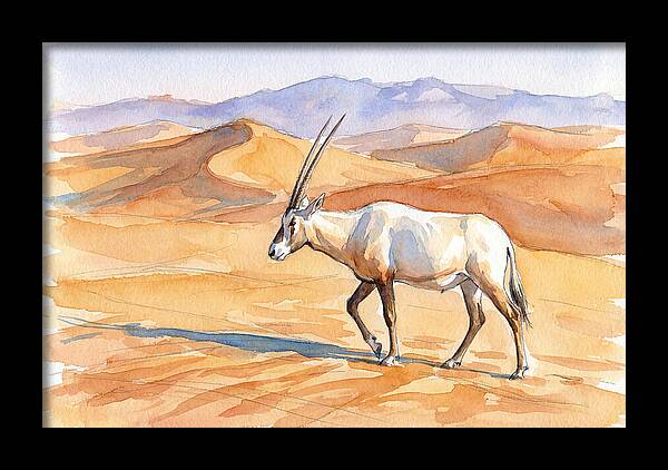 Arabian Oryx In Desert Landscape