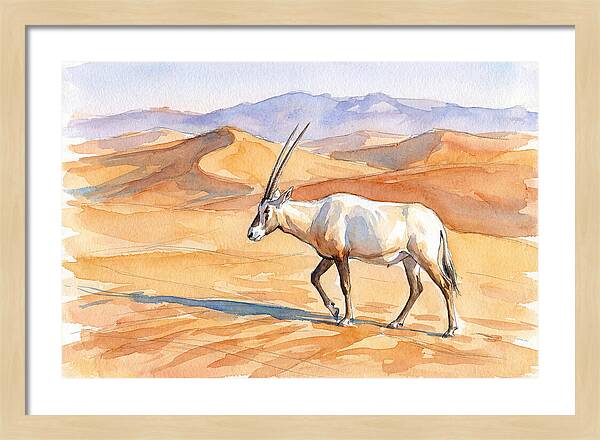 Arabian Oryx In Desert Landscape