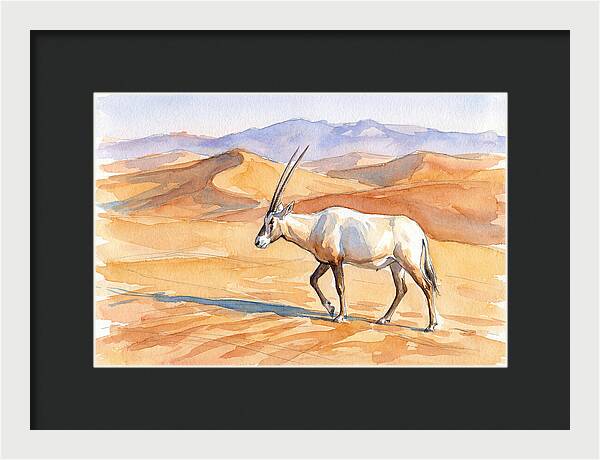 Arabian Oryx In Desert Landscape