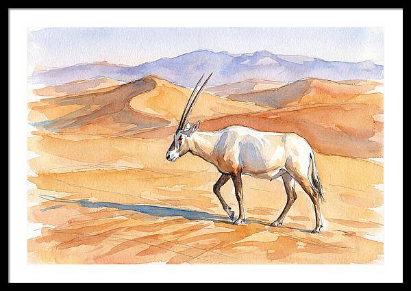 Arabian Oryx In Desert Landscape