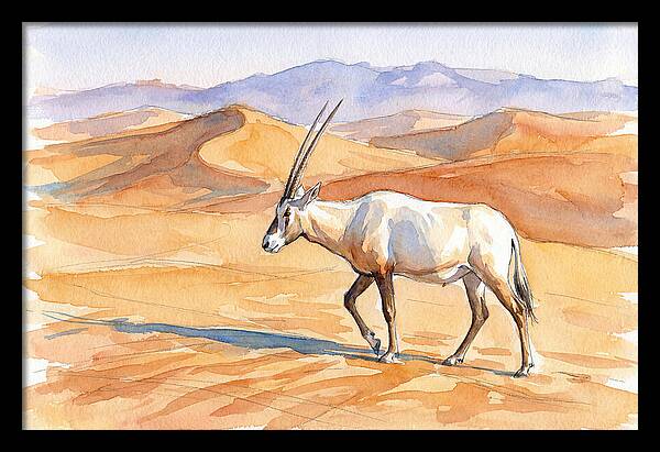 Arabian Oryx In Desert Landscape
