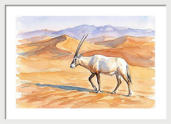 Arabian Oryx In Desert Landscape