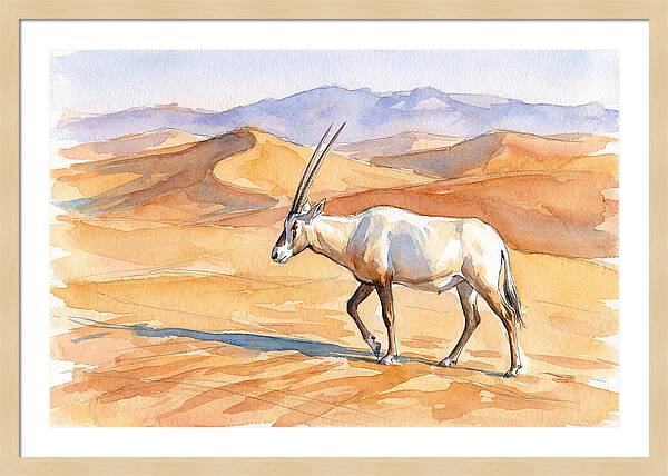 Arabian Oryx In Desert Landscape