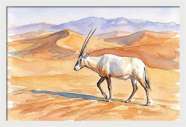 Arabian Oryx In Desert Landscape