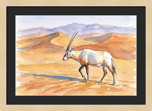 Arabian Oryx In Desert Landscape