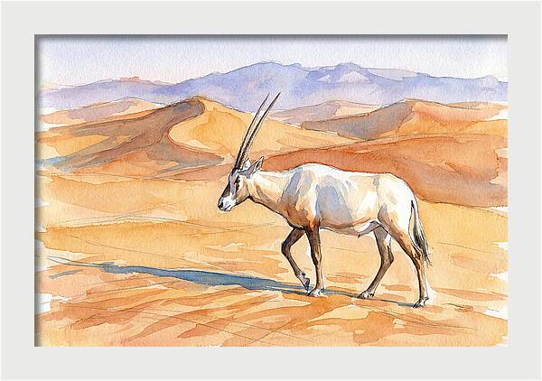 Arabian Oryx In Desert Landscape
