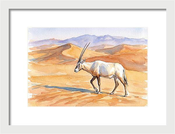 Arabian Oryx In Desert Landscape