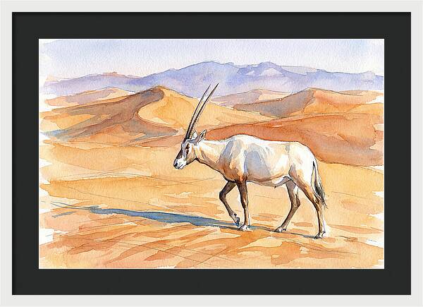 Arabian Oryx In Desert Landscape