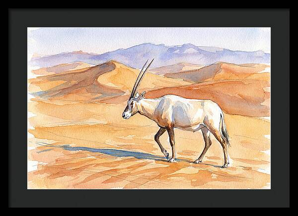 Arabian Oryx In Desert Landscape
