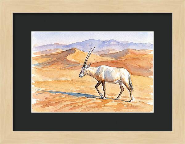 Arabian Oryx In Desert Landscape
