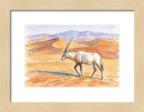 Arabian Oryx In Desert Landscape