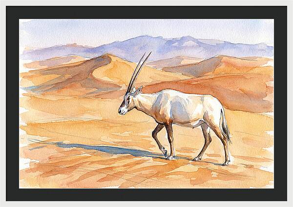 Arabian Oryx In Desert Landscape