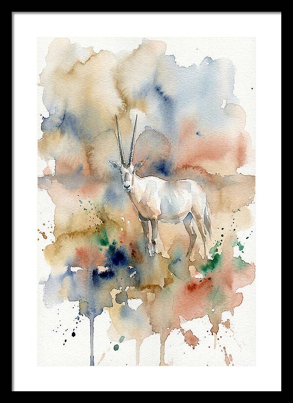 Arabian Oryx In Watercolor