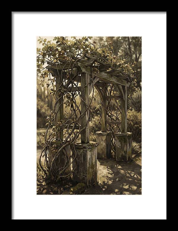 Arbor Covered In Climbing Vines
