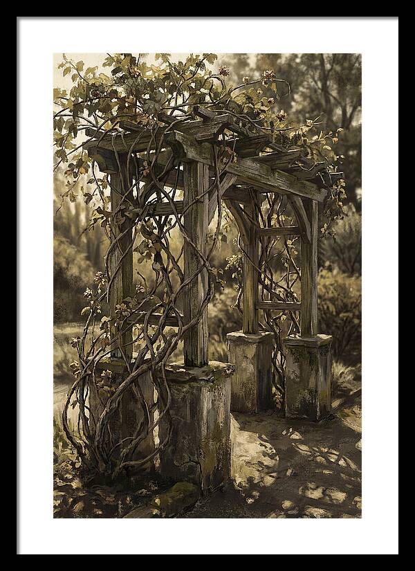 Arbor Covered In Climbing Vines