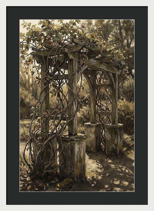 Arbor Covered In Climbing Vines
