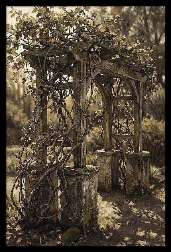 Arbor Covered In Climbing Vines