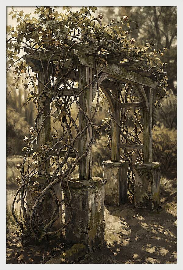 Arbor Covered In Climbing Vines