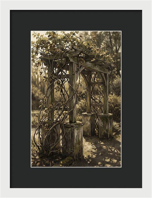 Arbor Covered In Climbing Vines