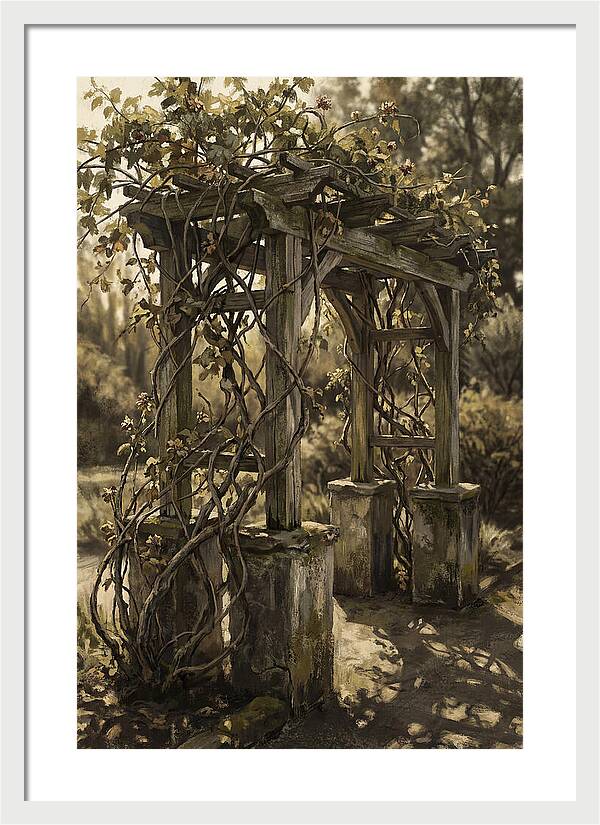 Arbor Covered In Climbing Vines