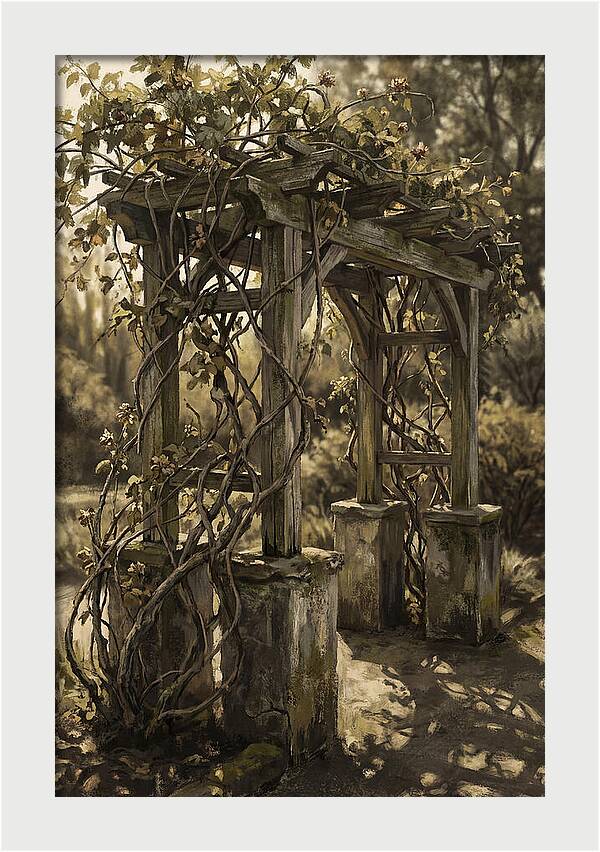 Arbor Covered In Climbing Vines