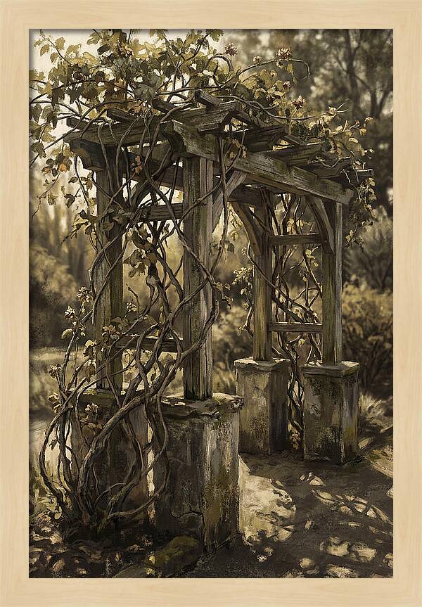 Arbor Covered In Climbing Vines