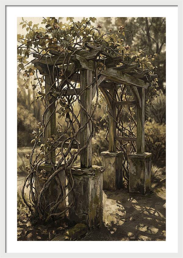 Arbor Covered In Climbing Vines