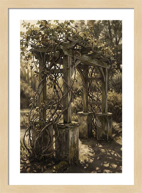 Arbor Covered In Climbing Vines