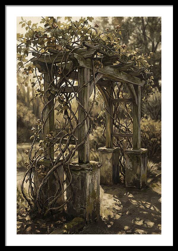 Arbor Covered In Climbing Vines