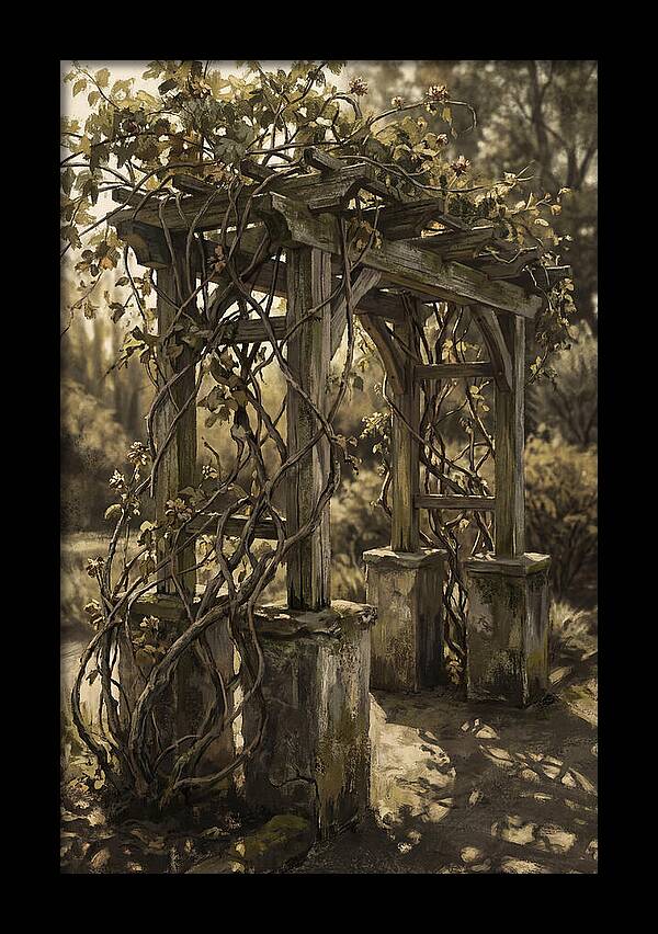 Arbor Covered In Climbing Vines