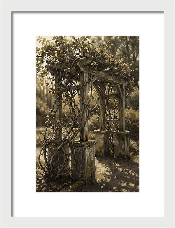 Arbor Covered In Climbing Vines