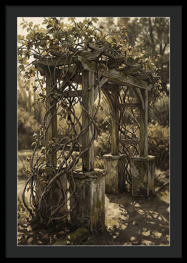 Arbor Covered In Climbing Vines