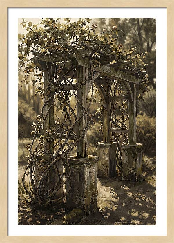 Arbor Covered In Climbing Vines
