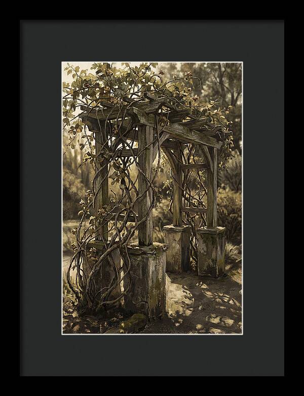 Arbor Covered In Climbing Vines