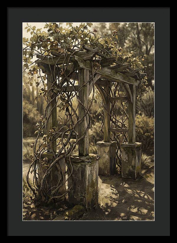 Arbor Covered In Climbing Vines