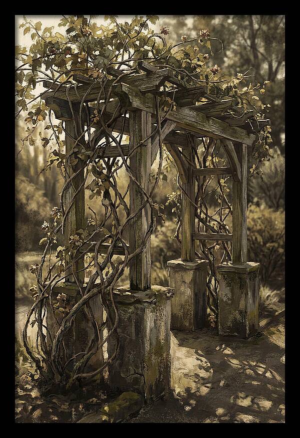 Arbor Covered In Climbing Vines