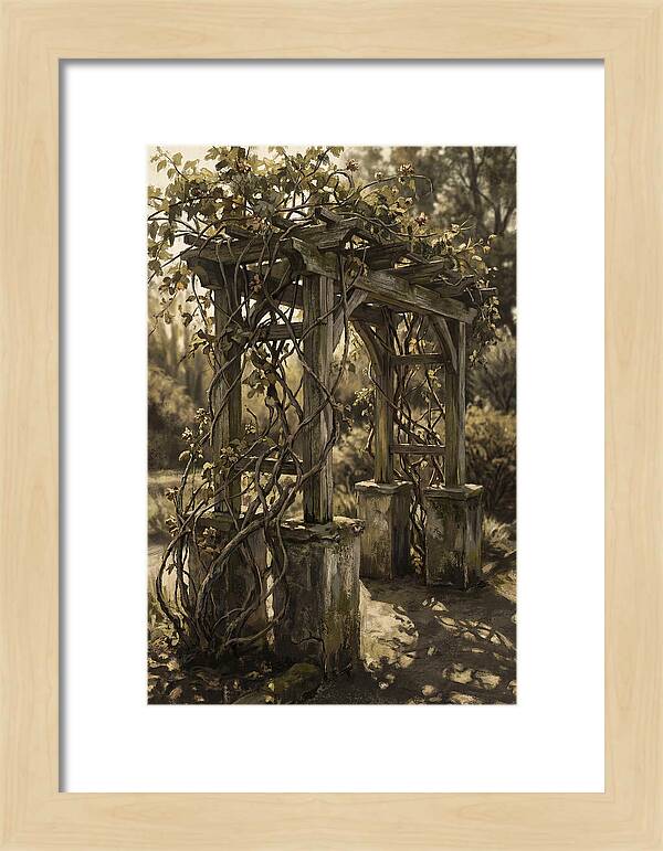 Arbor Covered In Climbing Vines