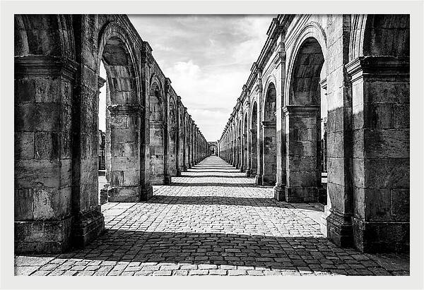 Arcade Succession Arches