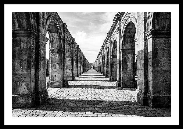 Arcade Succession Arches