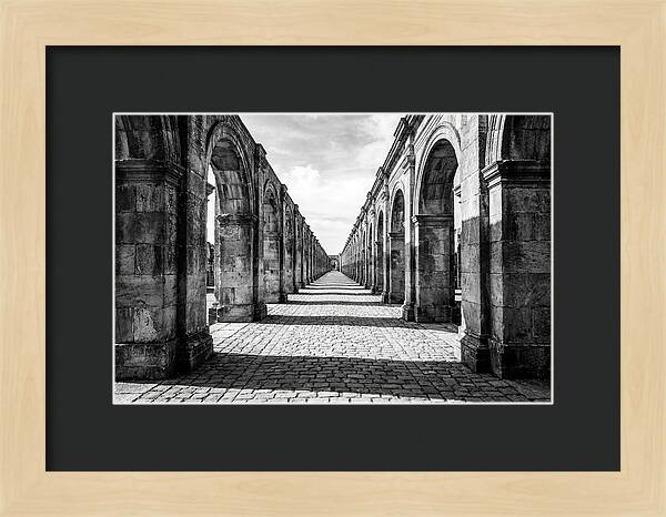 Arcade Succession Arches