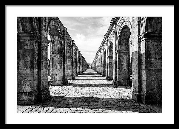 Arcade Succession Arches