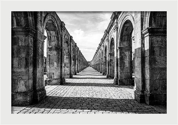 Arcade Succession Arches
