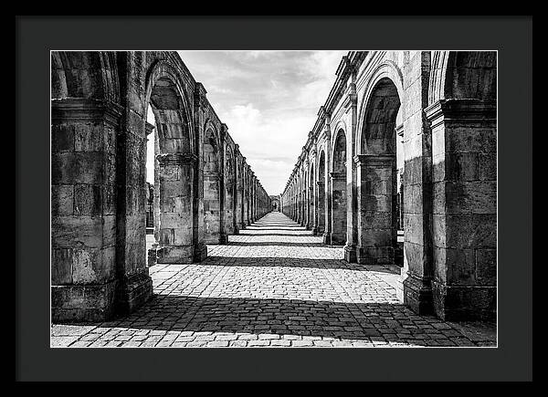 Arcade Succession Arches