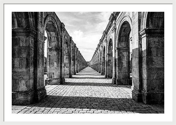 Arcade Succession Arches