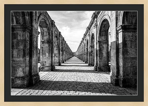 Arcade Succession Arches