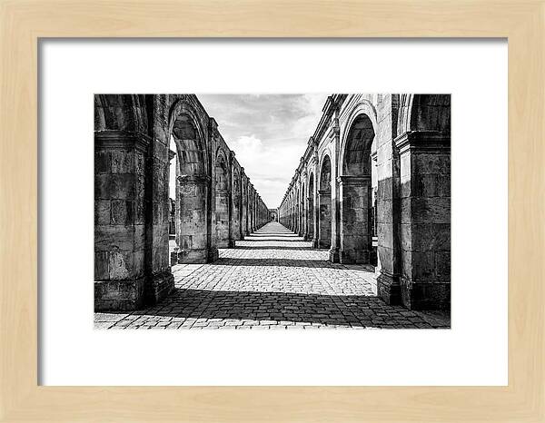 Arcade Succession Arches