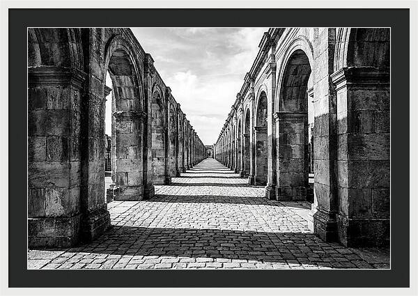 Arcade Succession Arches