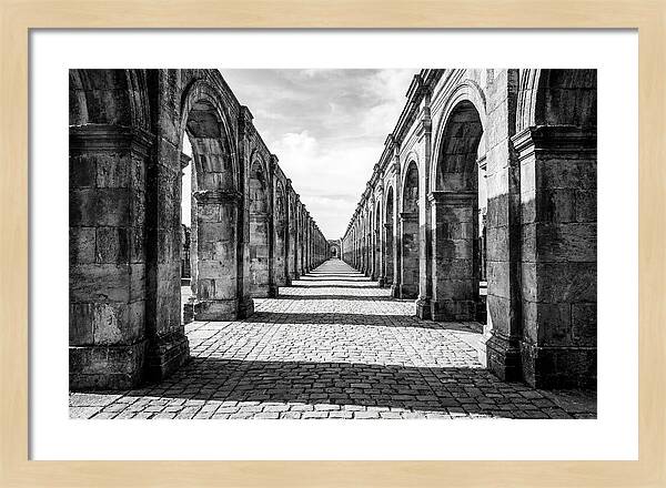 Arcade Succession Arches