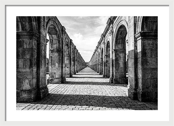 Arcade Succession Arches